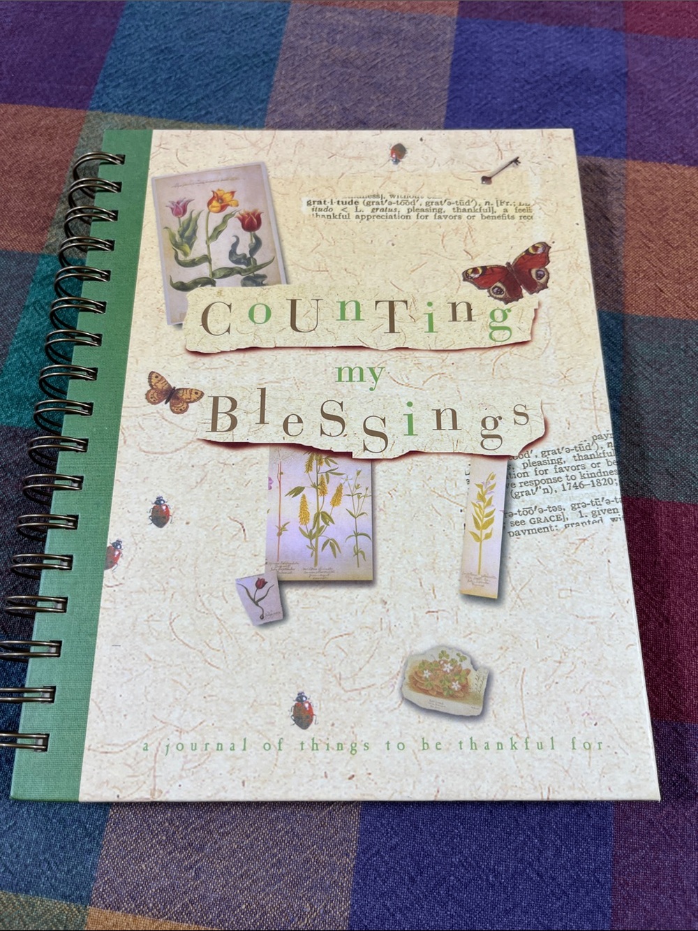 Counting My Blessings Spiral Journal - Green Cover